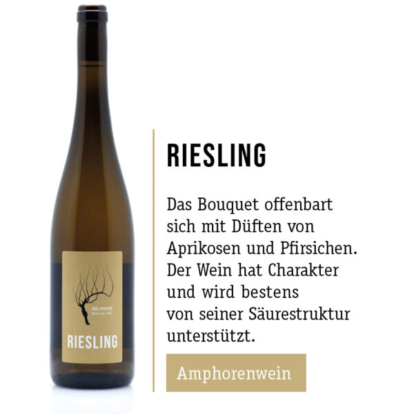 Pfisterweine - riesling