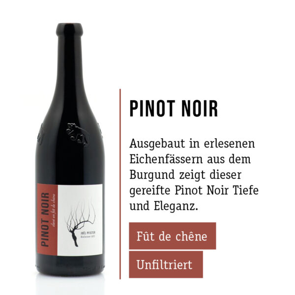 Pfisterweine - pinot noir