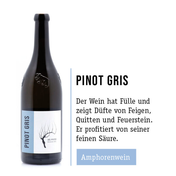 Pfisterweine - pinot gris