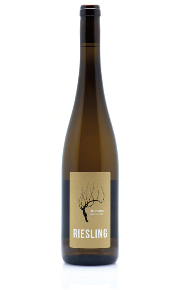 Pfisterweine Riesling